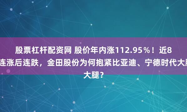 股票杠杆配资网 股价年内涨112.95％！近8日连涨后连跌，金田股份为何抱紧比亚迪、宁德时代大腿？