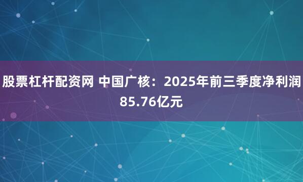 股票杠杆配资网 中国广核:2025年前三季度净利润85.76亿元